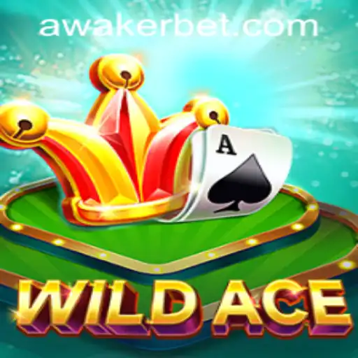 Awakerwin.COM Bingo Games